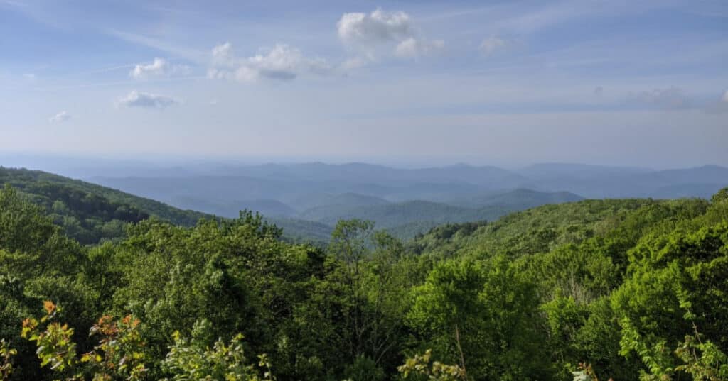 Forest and mountains